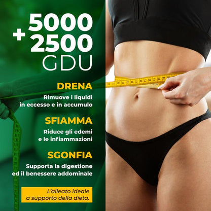 Bromelina Forte 5000+2500 GDU/g 120 Cpr 4 Mesi con Betulla Centella e Vitamina C e Drenaggio Digestivo Premium Complex