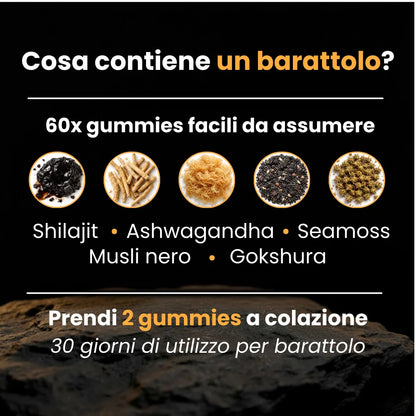 TryShilajity | La tua dose quotidiana di testosterone